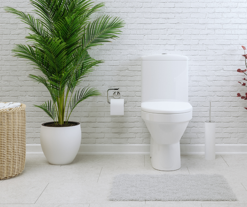 How To Clean Urine Stains From A Toilet Bowl