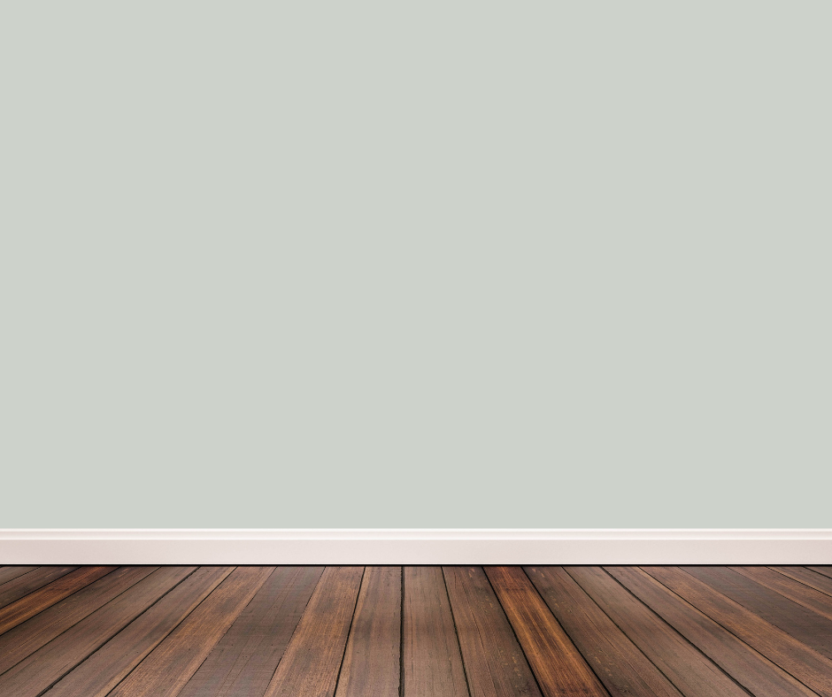 Sea salt wall color with dark wood floors
