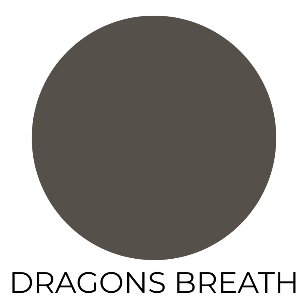 A digital paint swatch labeled “Dragons Breath.” The image features a large circle filled with a rich, deep charcoal brown hue with subtle warm undertones. The background is white, and the name “DRAGONS BREATH” is centered below the circle in bold, black, all-caps sans-serif font.