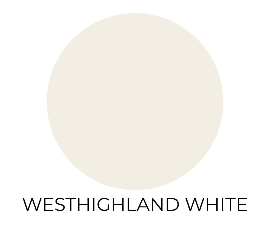Sherwin-Williams Westhighland White paint swatch. A soft, creamy warm white circle on a white background with the words “WESTHIGHLAND WHITE” in bold, black letters below.