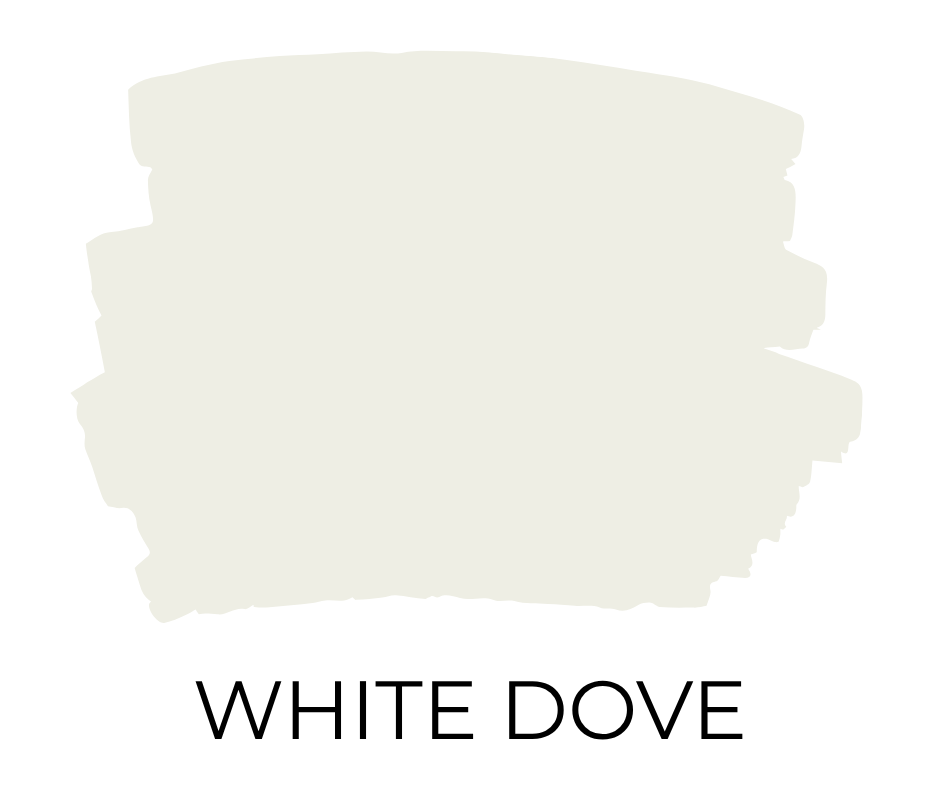 Paint swatch sample of Benjamin Moore White Dove, a warm soft white with subtle gray undertones.