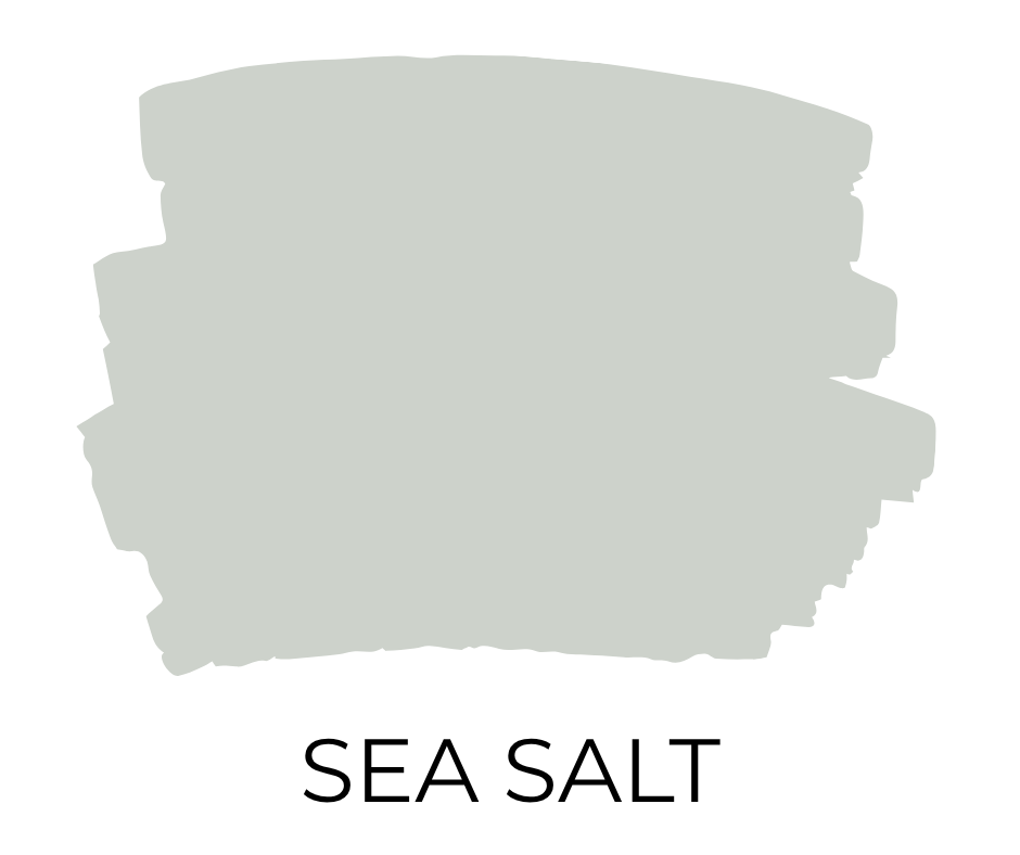 Paint swatch in a muted green-blue named Sea Salt by Sherwin-Williams.