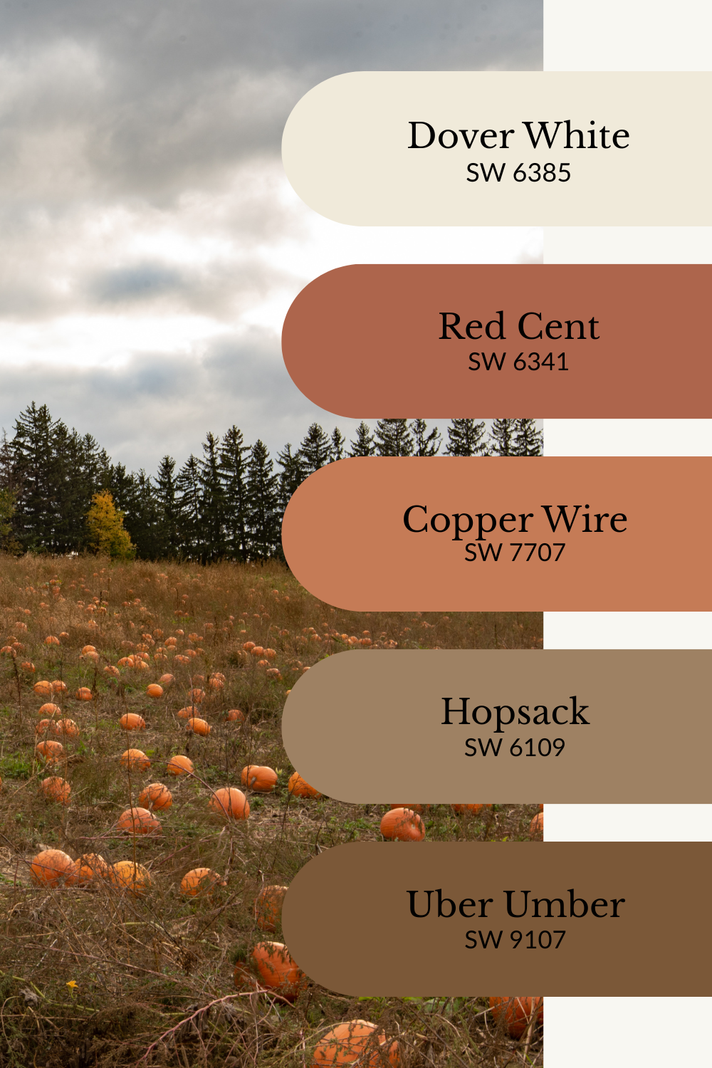 A cozy fall color palette graphic featuring a pumpkin field with overcast skies in the background. Five rounded color swatches are overlaid vertically on the right side, each labeled with a Sherwin-Williams paint name and code: Dover White (SW 6385), Red Cent (SW 6341), Copper Wire (SW 7707), Hopsack (SW 6109), and Uber Umber (SW 9107). The palette evokes a warm, rustic autumn mood with creamy white, burnt orange, copper, earthy brown, and deep umber tones.