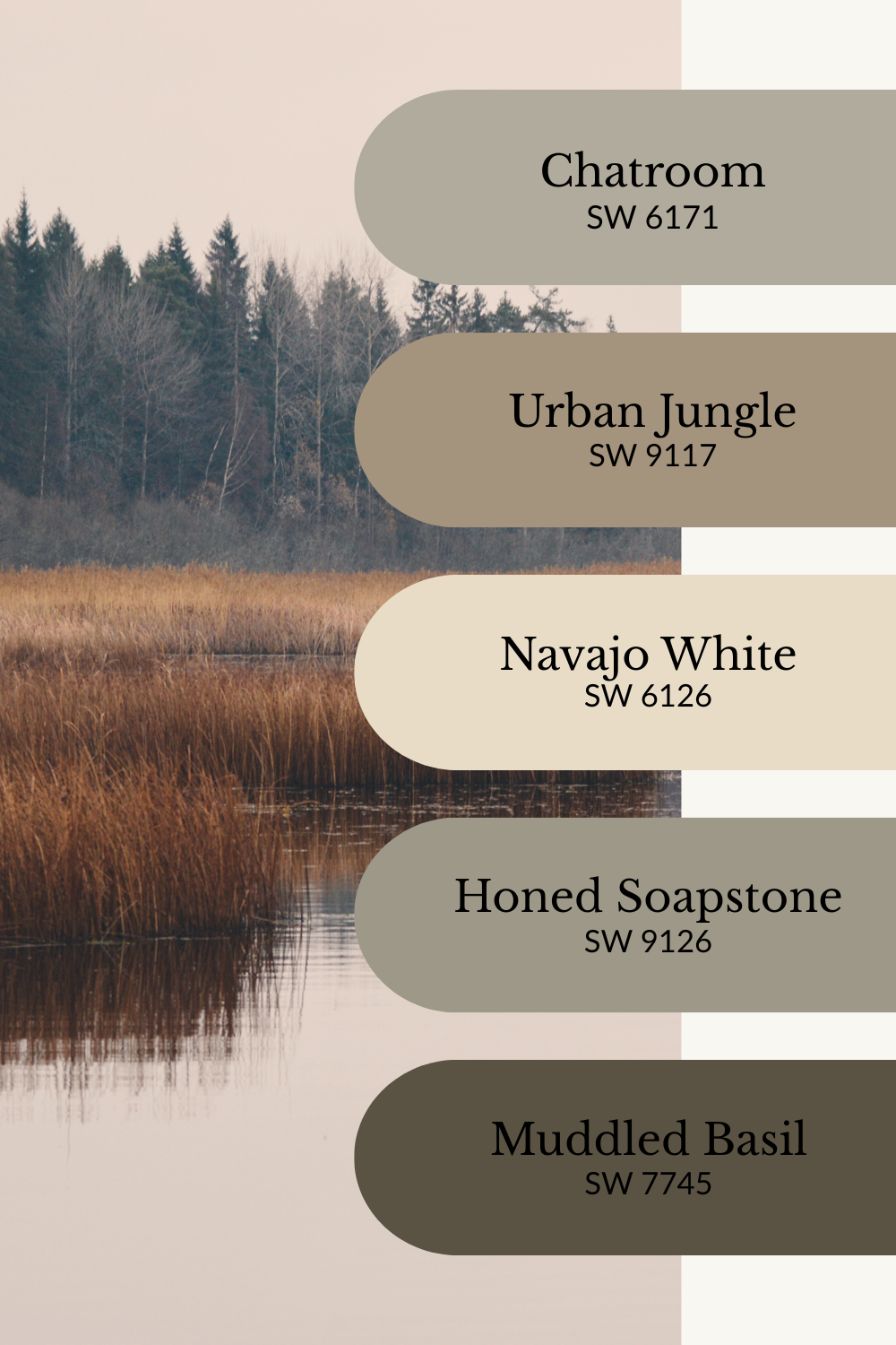 A serene fall color palette graphic layered over a calm wetland scene with golden brown grasses and dark evergreen trees in the background. Five Sherwin-Williams paint swatches are arranged vertically on the right: Chatroom (SW 6171), Urban Jungle (SW 9117), Navajo White (SW 6126), Honed Soapstone (SW 9126), and Muddled Basil (SW 7745). The palette blends sage greens, taupe, creamy white, and deep olive for a muted, nature-inspired autumn look.