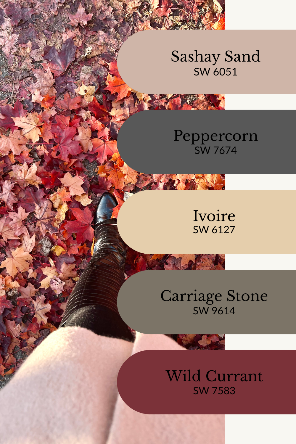 A rich fall color palette graphic overlaid on a photo of a person wearing black boots and a soft pink coat, standing on a ground covered with red, orange, and purple fallen leaves. Five Sherwin-Williams paint swatches are arranged vertically on the right: Sashay Sand (SW 6051), Peppercorn (SW 7674), Ivoire (SW 6127), Carriage Stone (SW 9614), and Wild Currant (SW 7583). The palette combines earthy neutrals, creamy beige, deep gray, and bold berry red for a moody, romantic autumn vibe.