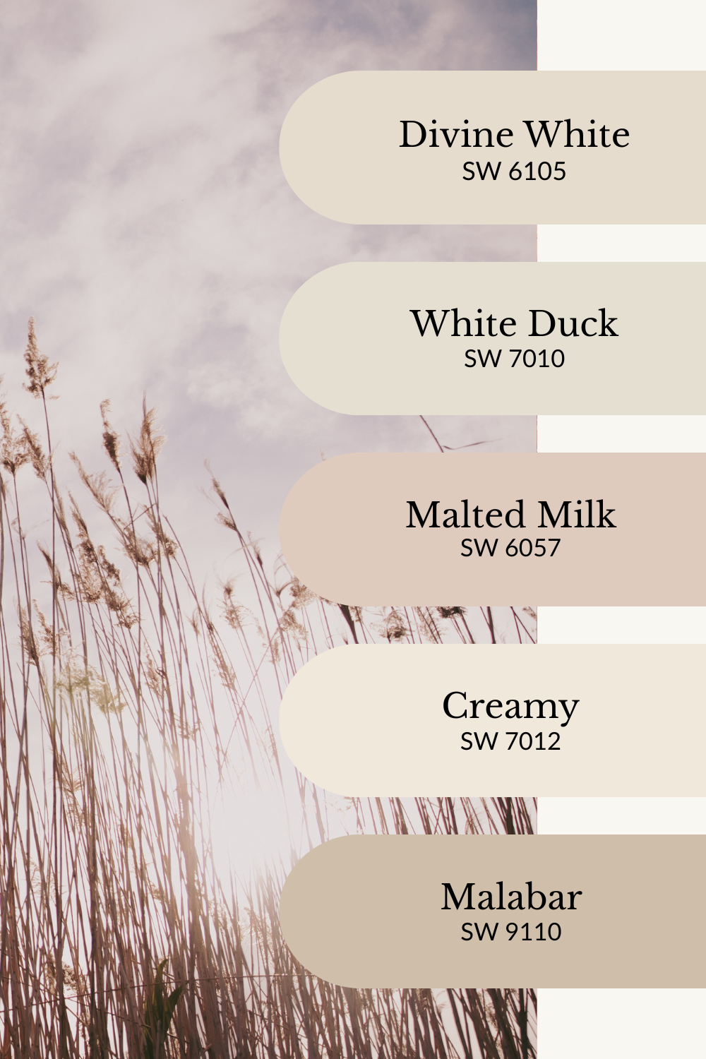 A soft neutral fall color palette graphic set over a dreamy photo of tall golden grasses reaching up toward a cloudy pastel sky. Five Sherwin-Williams paint swatches are arranged vertically on the right: Divine White (SW 6105), White Duck (SW 7010), Malted Milk (SW 6057), Creamy (SW 7012), and Malabar (SW 9110). The palette features warm whites, pale beiges, and muted taupes for a gentle, airy autumn aesthetic.