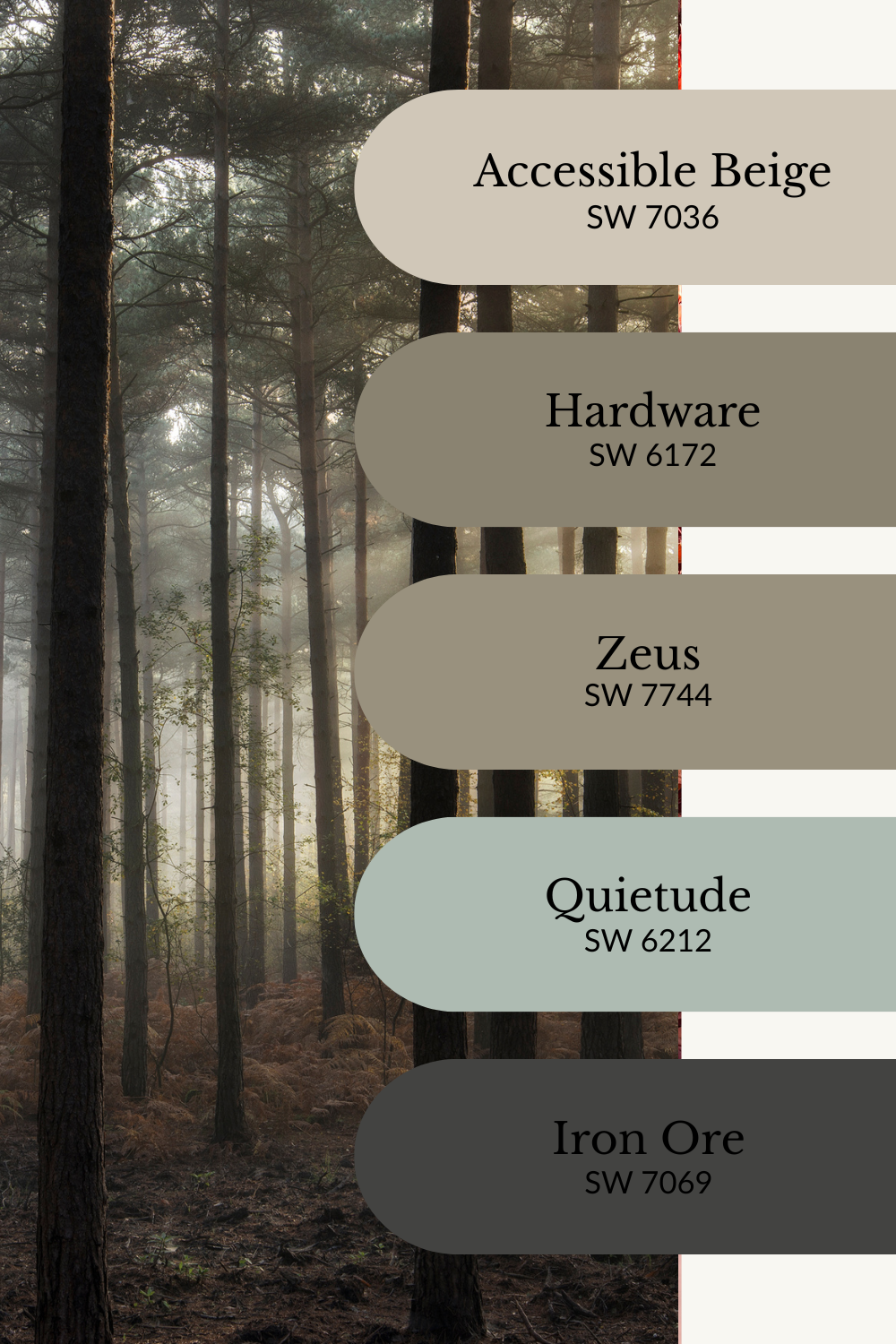A moody fall color palette graphic placed over a misty forest scene with tall pine trees and soft light filtering through. Five Sherwin-Williams paint swatches are stacked vertically on the right: Accessible Beige (SW 7036), Hardware (SW 6172), Zeus (SW 7744), Quietude (SW 6212), and Iron Ore (SW 7069). The palette features muted taupes, forest green-gray, deep charcoal, and a hint of misty blue-green for a grounding, woodland-inspired fall vibe.