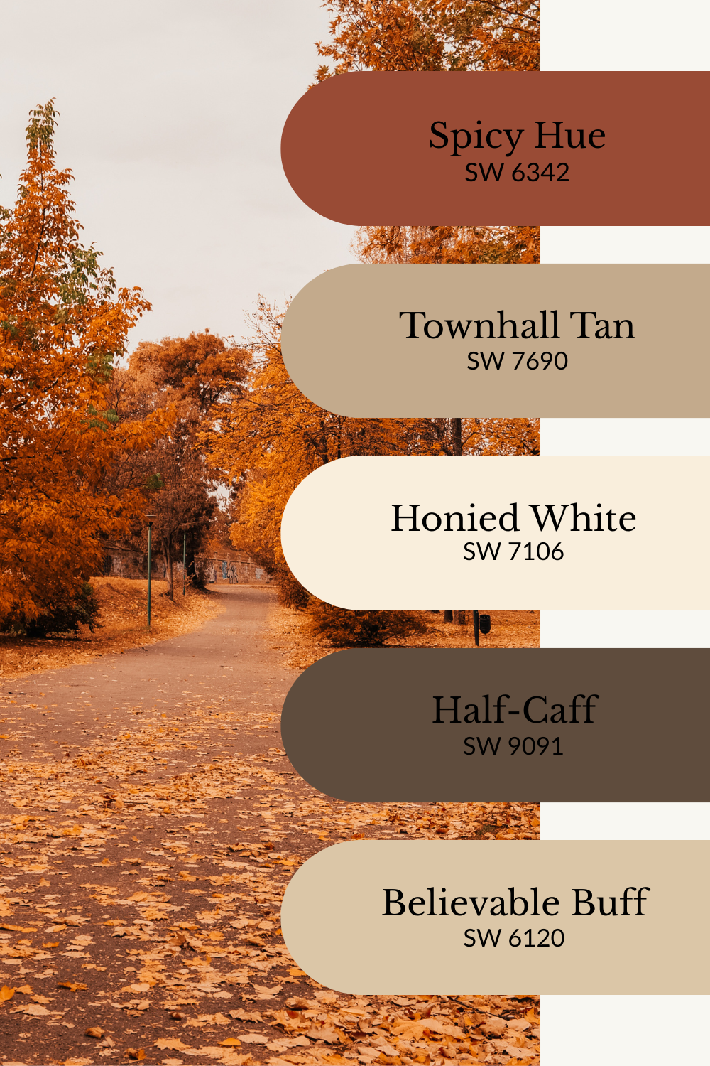A bold fall color palette graphic layered over a scenic path lined with trees in peak autumn color — rich orange leaves covering the trees and ground. Five Sherwin-Williams paint swatches are stacked vertically on the right: Spicy Hue (SW 6342), Townhall Tan (SW 7690), Honied White (SW 7106), Half-Caff (SW 9091), and Believable Buff (SW 6120). The palette captures the warmth of fall with spicy red-orange, creamy neutrals, and rich, coffee-inspired browns.