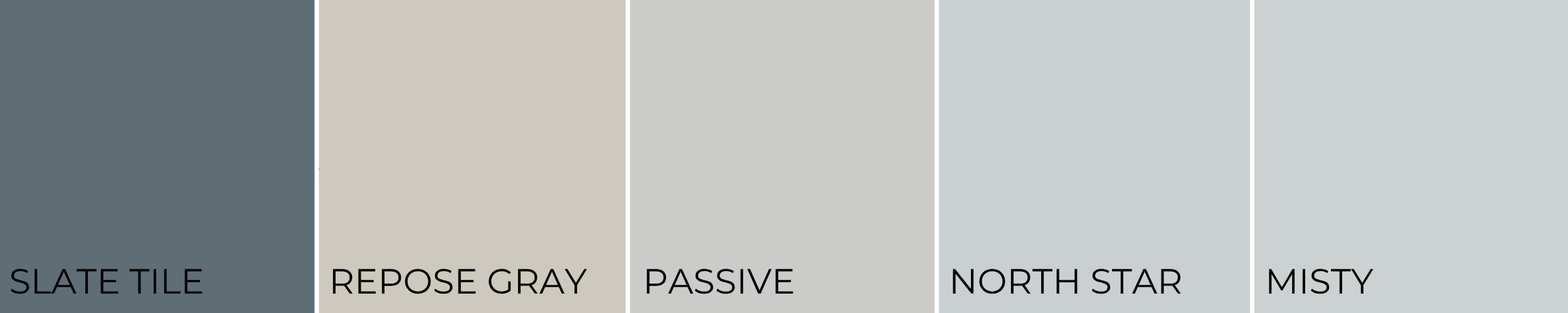 Sherwin-Williams blue and gray color palette featuring Slate Tile, Repose Gray, Passive, North Star, and Misty swatches displayed side by side