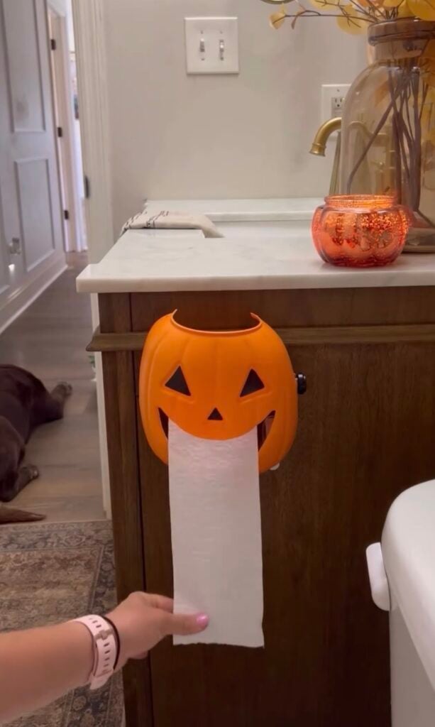 DIY Halloween decor toilet paper holder.